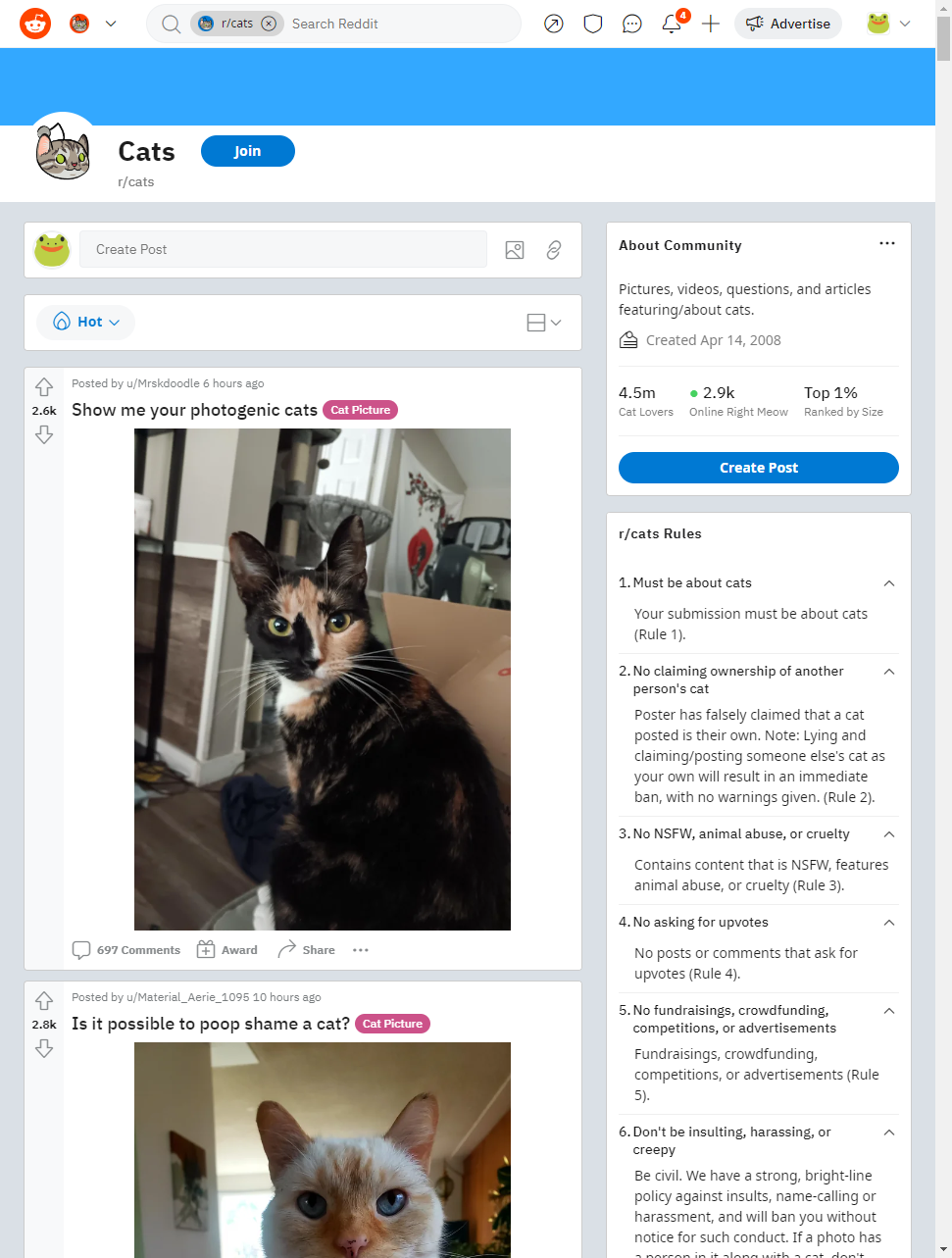 Reddit's version